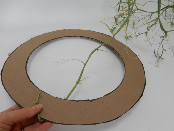 Start to wrap the vine around the cardboard Start to wrap the vine around the cardboard