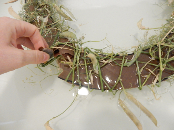 The cardboard will become soggy making it easy to rip away The cardboard will become soggy making it easy to rip away