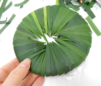 Fold a Grass Disk
