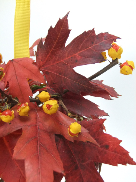 Dried Bittersweet berries and fall leaves