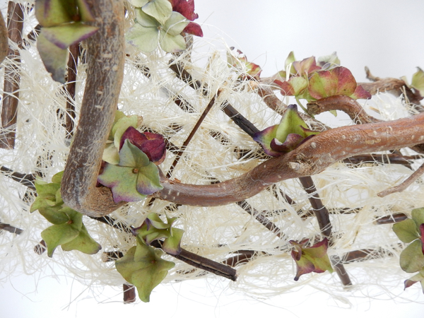 Dried hydrangea blossoms