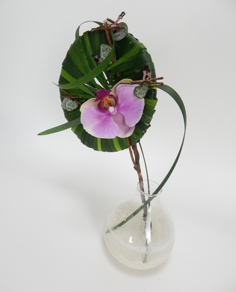 Grass armature for a Phalaenopsis orchid