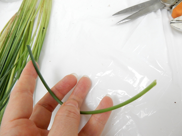 Carefully manipulate a blade of grass to curve.