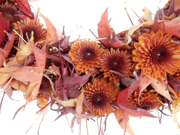 Chrysanthemum wreath