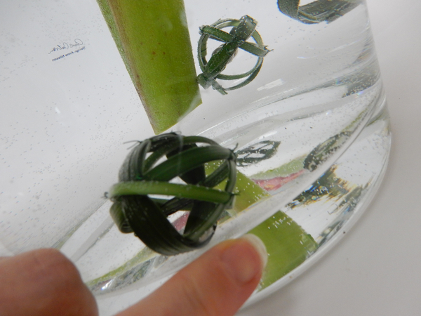 Corsage magnets are rather heavy for it's size and can easily be used as a decoraive sinker Corsage magnets are rather heavy for it's size and can easily be used as a decoraive sinker
