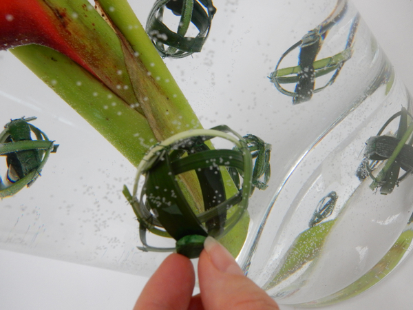 Cover the partner magnet with floral tape to make it less visible on the outside of the vase