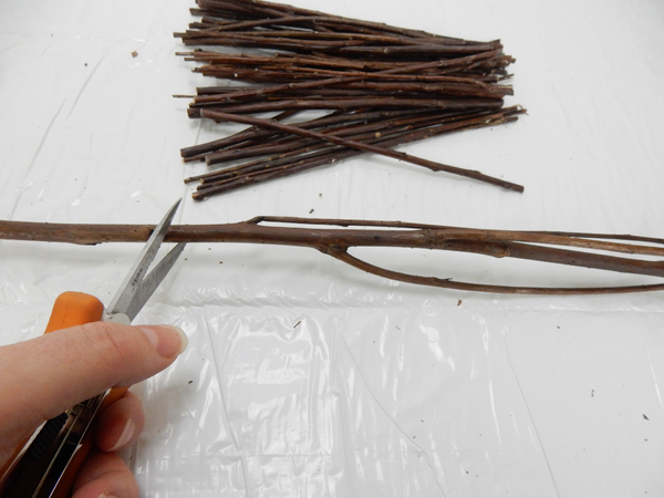 Cut a bundle of fine twigs