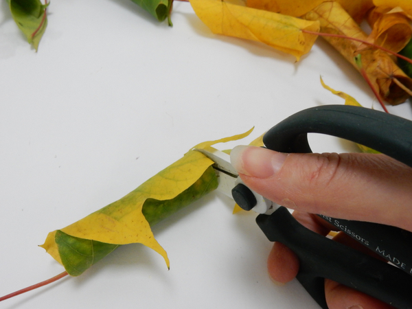 Cut the leaf so that it stands flat in the water