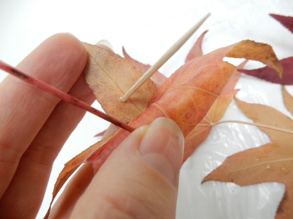 Make a new guide hole at the top end of the leaf with the babnoo skewer
