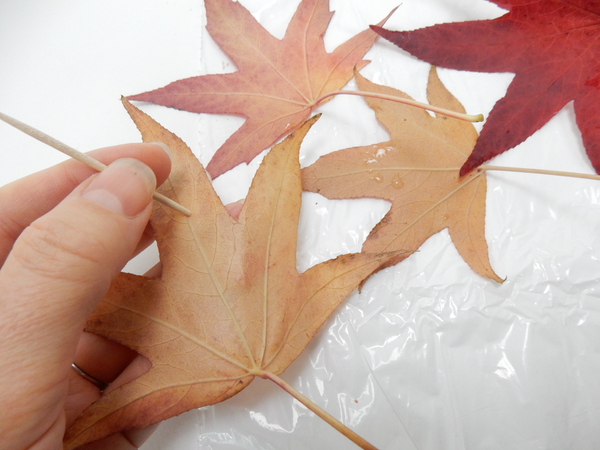 Make a small guide hole in a autumn leaf with a bamboo skewer