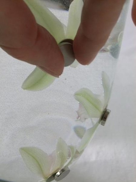 Positioning a flower under water using a magnet