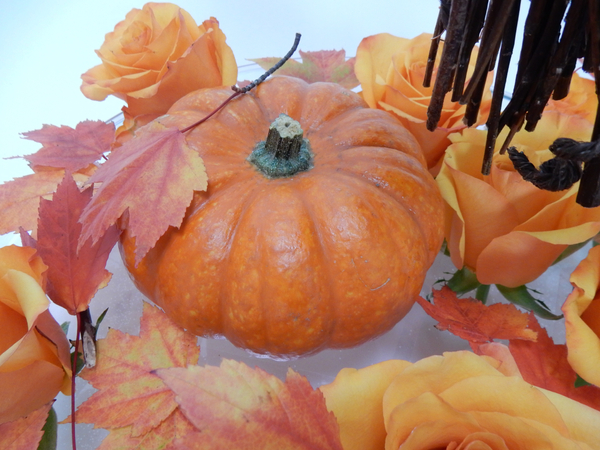 Pumpkin and roses for an autumn design