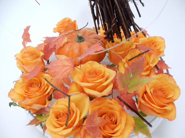 Roses and fall leaves