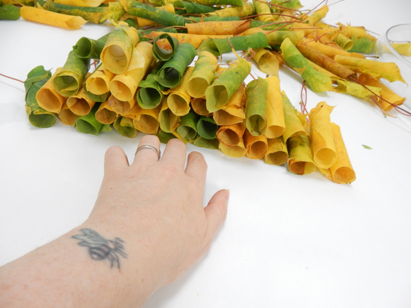 Stack the cut leaves with the stem to one side to make it easier to stack into the container