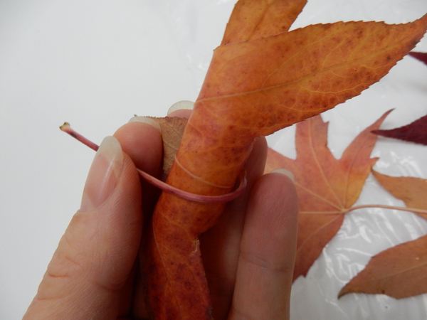 Wrap the stem around the leaf to secure