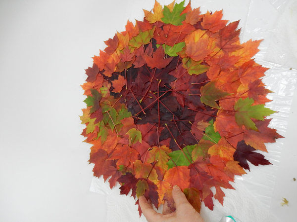 Autumn leaf disk.