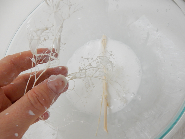 Dip sprigs of Baby's Breath in the glue mixture