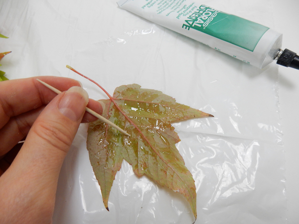 Spread a thin layer of floral adhesive on an autumn leaf