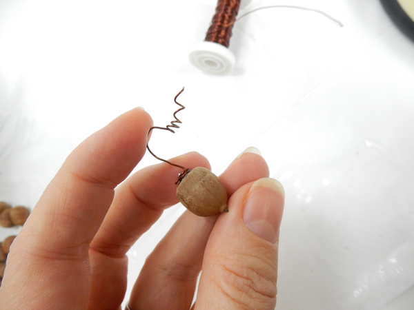Glue the curled end to an acorn