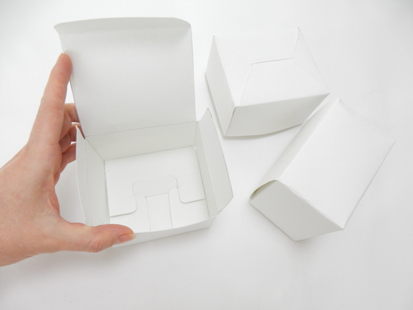 I used a basic box template to make three small boxes to shape my skeleton leaves I used a basic box template to make three small boxes to shape my skeleton leaves