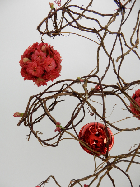 Kalanchoe baubles and bells