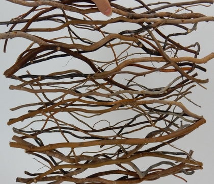 Scalable twig and Phalaenopsis orchid winterscape panel