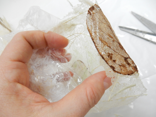 Peel away the cling film from the box and lid