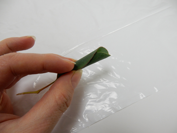 Secure the leaf with a small drop of glue