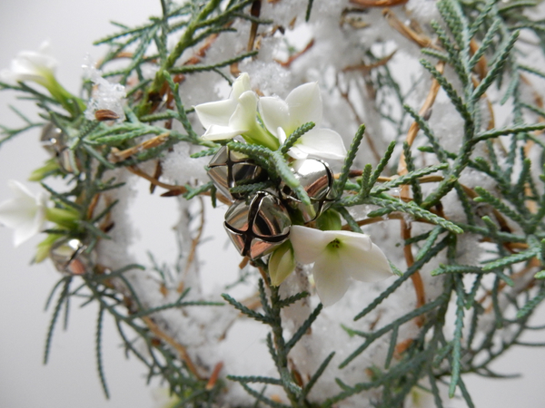 Siver bell and winter greenery