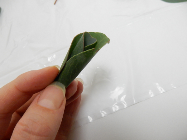 Wrap this leaf around the rolled leaf