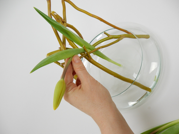 Fill the container with water and stand the graceful tulip stem in the armature