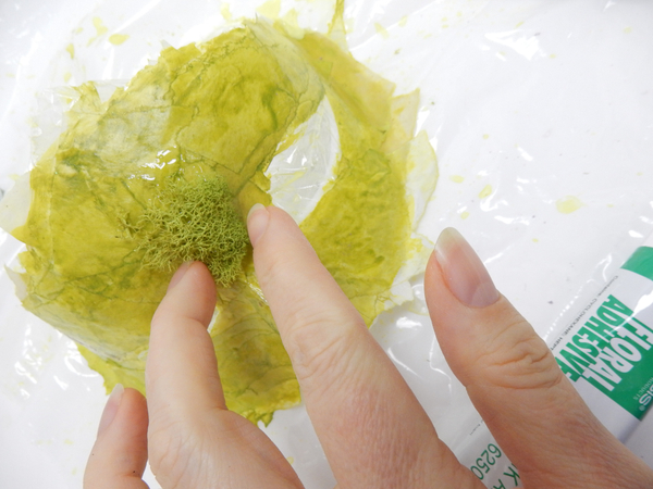 Pull the moss apart and glue it to the paper mask