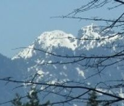 Where would you put it!?!