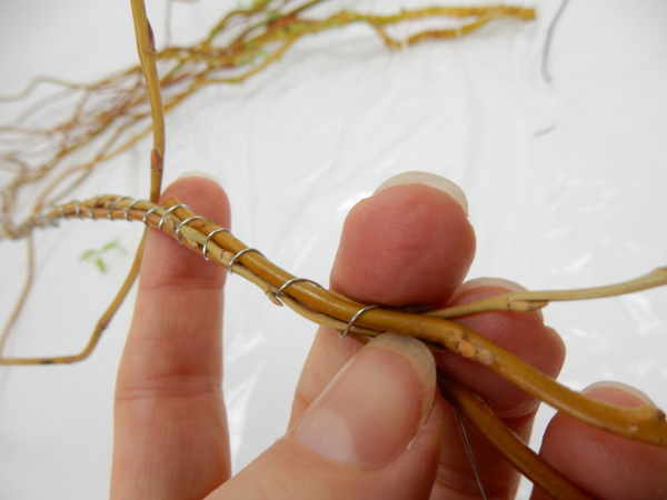 Tuck the end of each willow tip back into the garland and continue to wrap it with wire