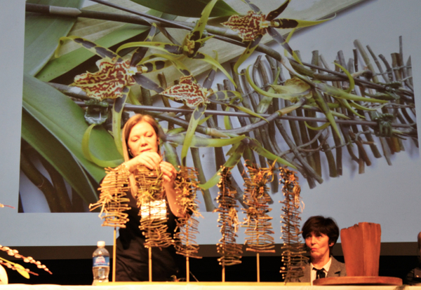 Christine de Beer Floral Art Demonstration