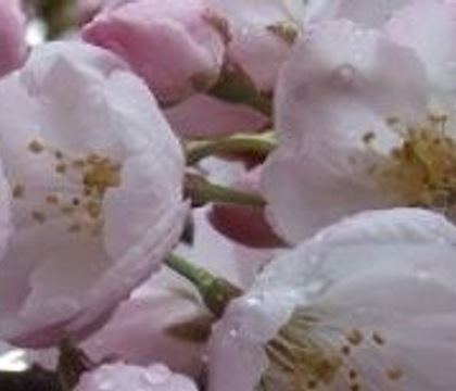 Creative Expectations