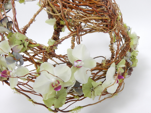 Phalaenopsis orchid and willow parasol Phalaenopsis orchid and willow parasol