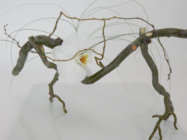 Free standing willow twig armature