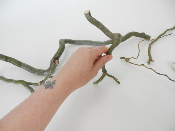Make sure the twig legs are even Make sure the twig legs are even