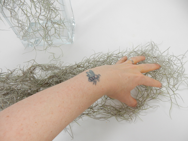 Place a clump of Spanish Moss on a flat surface and fluff out with your fingers