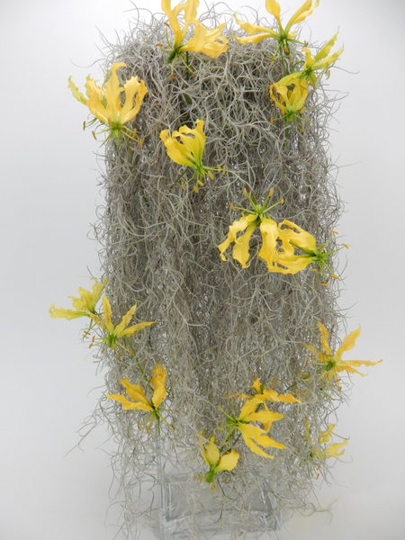 Spanish moss and fire lilies