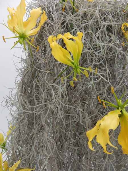 Spanish moss armature