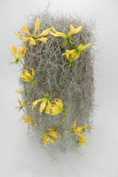 Spanish moss armature with Gloriosa flowers