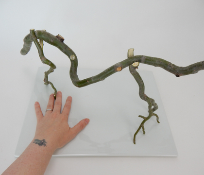 Free standing Willow twig armature with a hidden water source