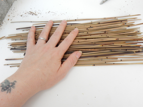 Cut a bundle of shorter reeds
