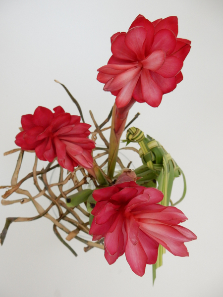 Ginger flowers, bark nest and woven bird