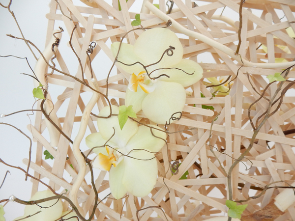 Phalaenopsis orchids on a popsicle stick armature