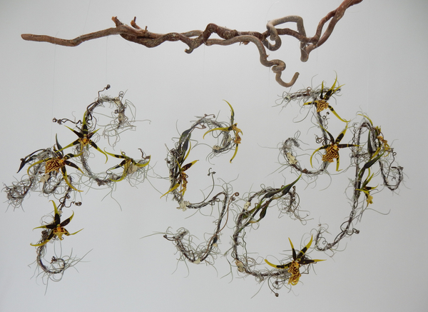 Spider Orchid and Spanish moss monogram Spider Orchid and Spanish moss monogram