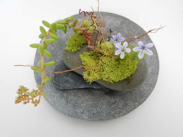 Moss and succulent design