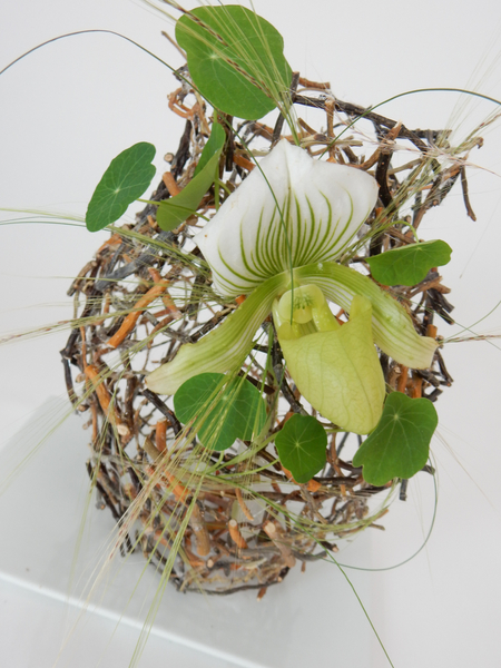 Paphiopedilum orchid on a twig snippet vase armature.